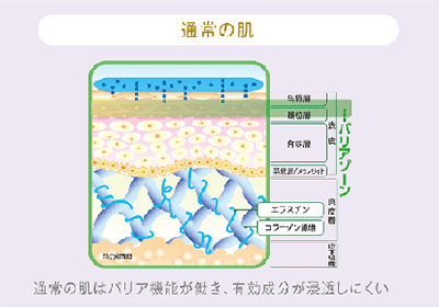 通常の肌